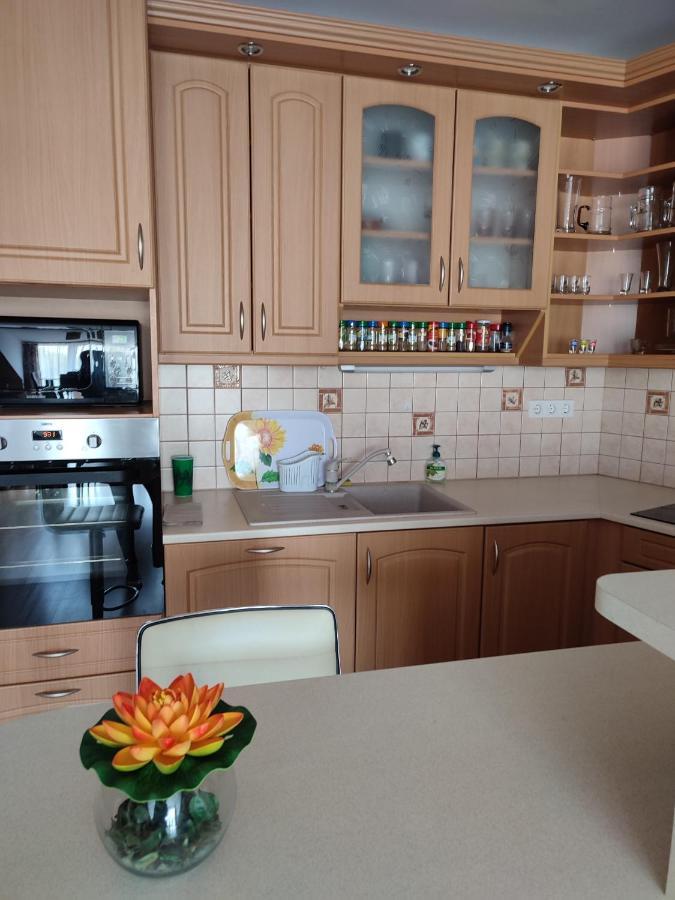Larix Apartman Sárvár Εξωτερικό φωτογραφία
